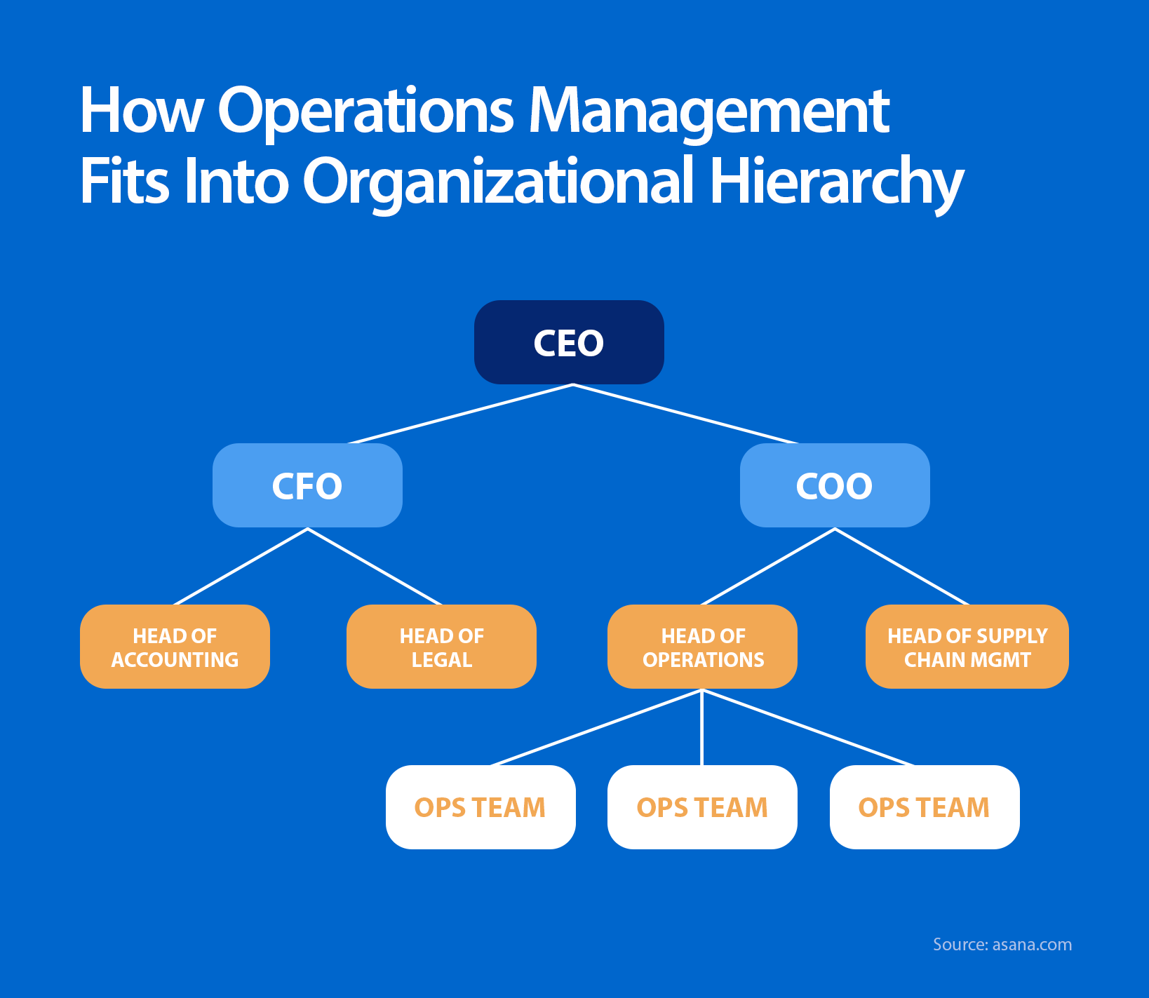 How operations management fits into organization hierarchy