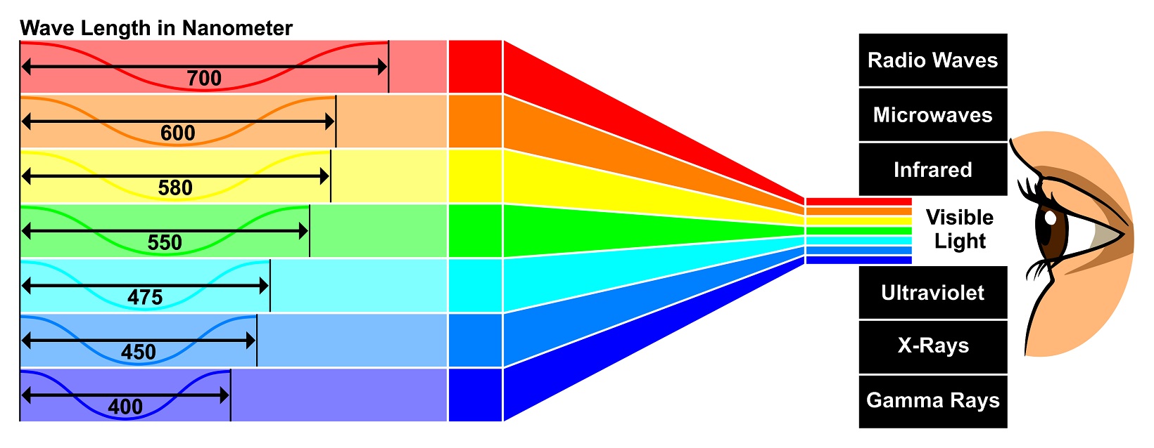 Visible Light with wave length difference between spectra colors