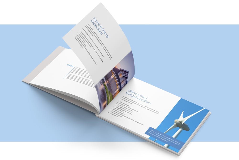 Inspections e-book preview